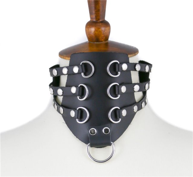 Riveted Posture Collar D-Ring Accents 8600 Edmonton