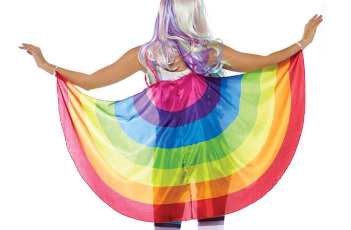 Rainbow flag pride wings