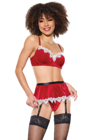 Sexy Santa Costume Edmonton Canada