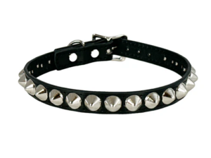 BDSM Sudded Choker Edmonton Canada