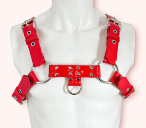 Red Bulldog Harness Edmonton Canada