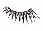 Full False Lashes D012