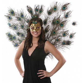 Feather Wings 0800