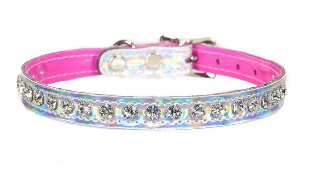 Holographic Collar Clear Rhinestones 0247hc Edmonton