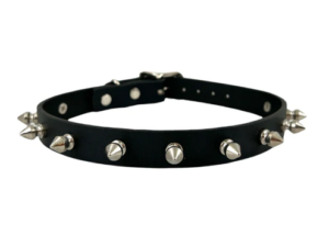 Spiked Punk Collar Edmonton Canada