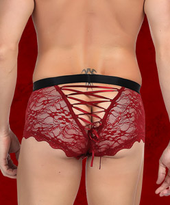 Briefs