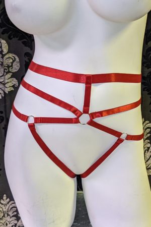 Red Harness Panties Edmonton