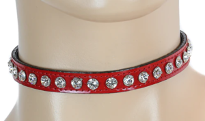 Red Collar Edmonton