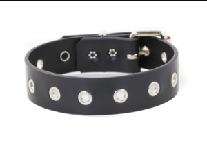 Leather Choker Edmonton