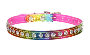 Rainbow Collar Edmonton