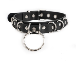 S&M Collar Edmonton Canada