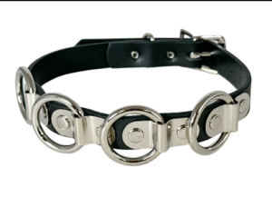 BDSM Collar Edmonton Canada
