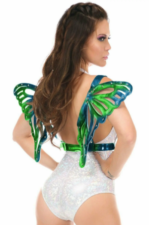 Holographic Wings Edmonton Canada