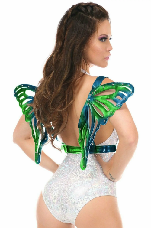 Holographic Wings Edmonton Canada