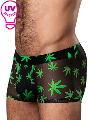 Men's Pot Leaf Shorts Edmonton Canada